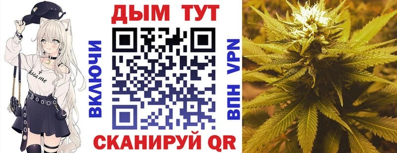Бошки Шишки THC 21%  KRAKEN как войти  Заозёрск 